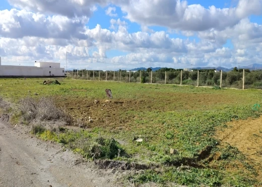 terrain à À Vendre à NABEUL - un terrain à 10 min de yassmine Hammamet