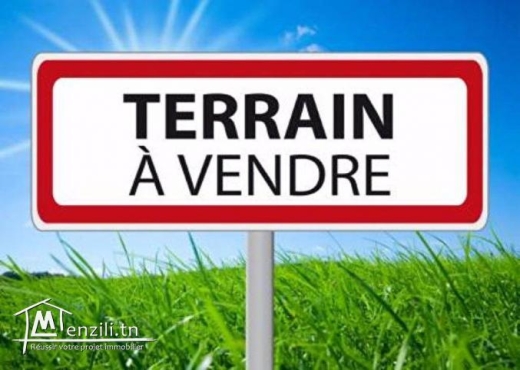 terrain 600 m