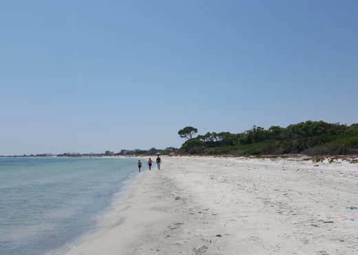 terrain à À Vendre à NABEUL - investir cote kelibia