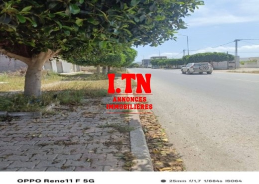 lot de terrain a vendre houaria centre ville