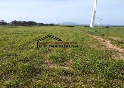 terrain agricole près de la plage