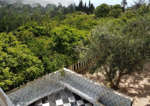 Maison de campagne 5000 m²  Ras je