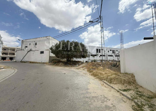 Vente Terrain Julian
