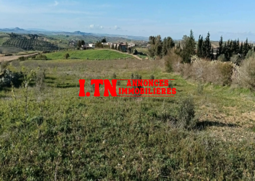 TERRAIN AGRICOLE A VENDRE