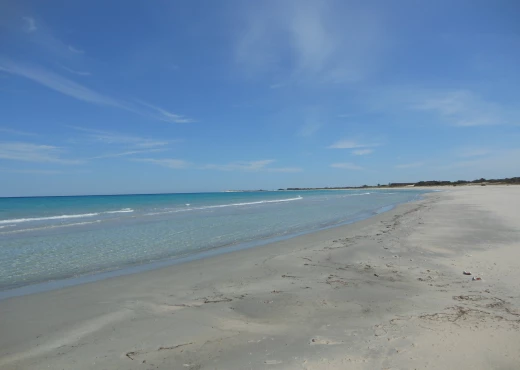 terrain à À Vendre à NABEUL - occasion de terrain au bord de la