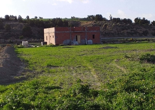 TERRAIN AGRICOLE A VENDRE