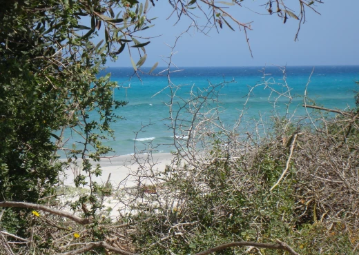 terrain à À Vendre à NABEUL - bonne affaire de 50 000m²