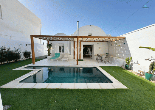 Villa Mykonos