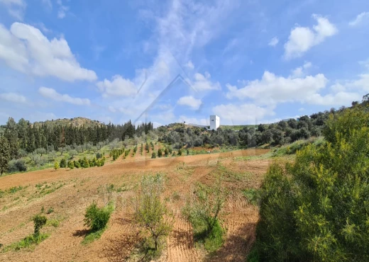 ferme à À Vendre à ARIANA - AV Ferme avec Villa à Sidi Thabet