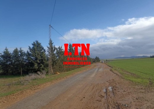 30 hectares pour  a tous les arbre