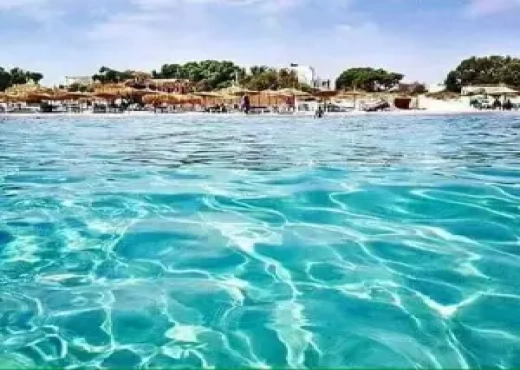 un terrain de 03 ha pour investir