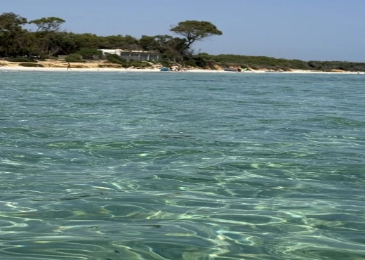 terrain à À Vendre à NABEUL - un terrain de 1 ha pour les investisseures