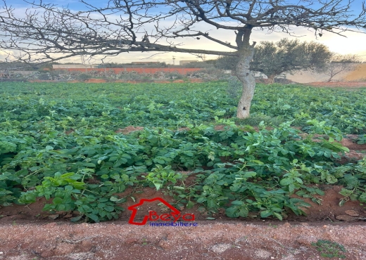 un terrain à vendre