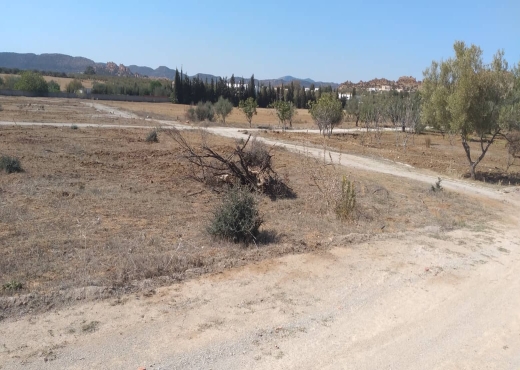 terrain a sidi hammed 282 m