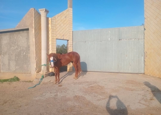 للبيع قطعة أرض في السعيدة-وادي الليل