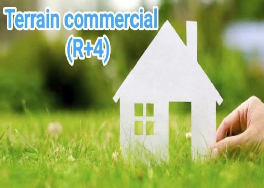 Terrain commercial R+4