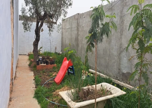 maison à À Vendre à NABEUL - un maison arab A sidi hammed