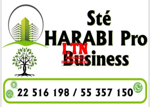 40 hectares pour la plantation d'o