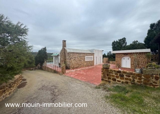 VILLA RENÉ Latrach Hammamet AL3685