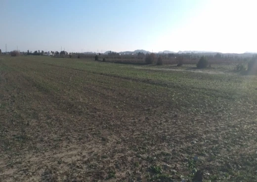 terrain à À Vendre à NABEUL - terrien agricole de 3 hectares zone bouficha