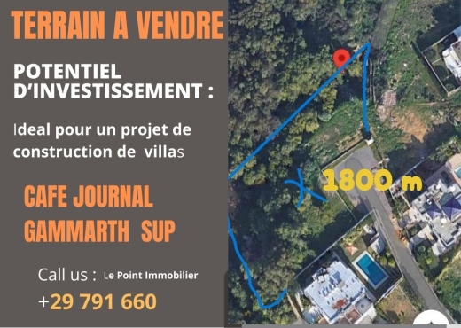 Terrain Gammart Sup cafe Journal