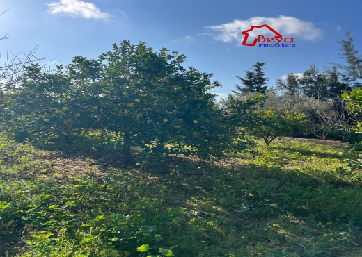 Une ferme à vendre