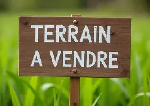 Terrain avec TFI à cote riadh anda