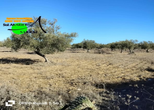 A Vendre Terrain à Hergla