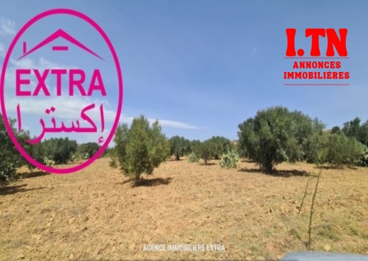 Campagne à el hwaria de Nabeul