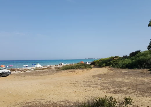 terrain à À Vendre à NABEUL - offre a ne pas rater