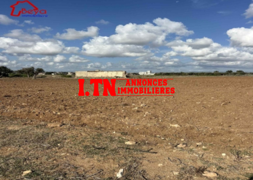 terrain korba VTM088