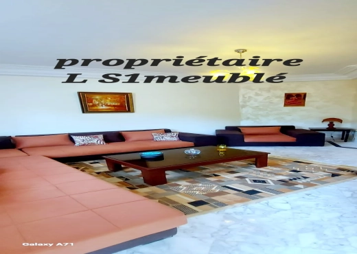 Très bel apt S1 meublé  Ennasr2 po