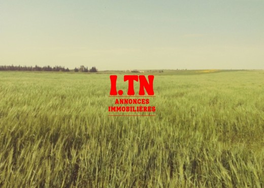 5 hectares terrain agricole nu