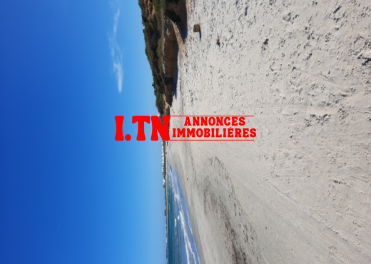 1000 m² a ne pas rater