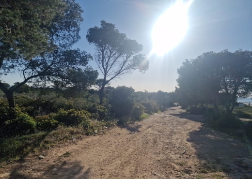Terrain à Gammarth – El Marsa