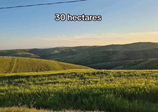 terrain à À Vendre à BIZERTE - A vendre terrain agricole a Bizerte
