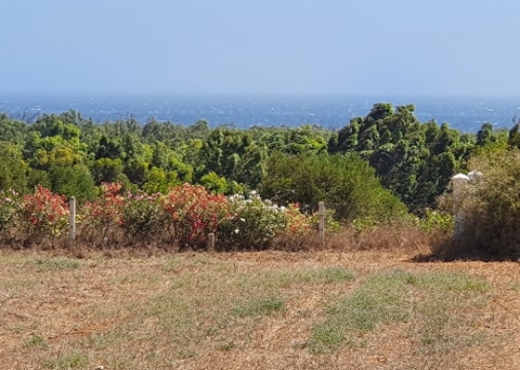 TERRAIN à Ezzahra Hammem ghzez174m