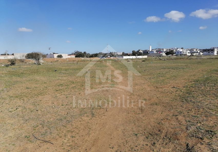 Lot de terrain à vendre à Hammamet à 55 MD 51355351