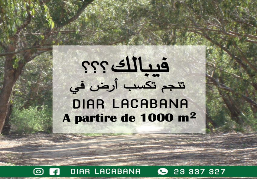 Investir dans des terrains côtiers au Cap Bon "Rtiba"