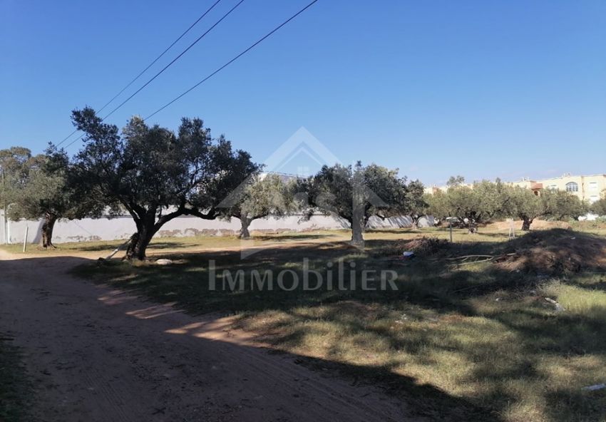 Terrain de 555 m² à vendre à Hammamet Sud à 555 MD 51355351