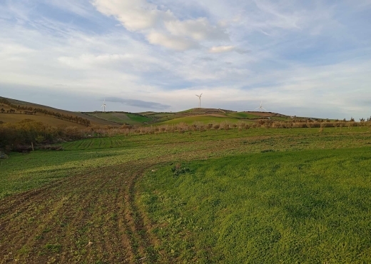 🔥 PRIX FORCA – TERRAIN À VENDRE À RAS EL JEBEL 🔥