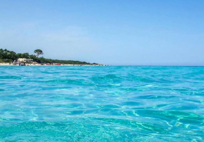 Des terrains au bord de la plage