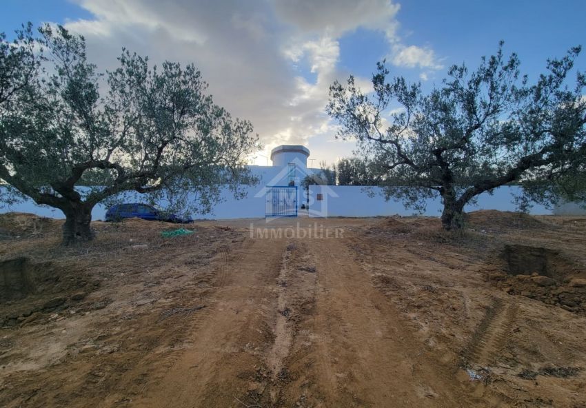 Terrain de 1800 m² à vendre à Hammamet Sud 51355351