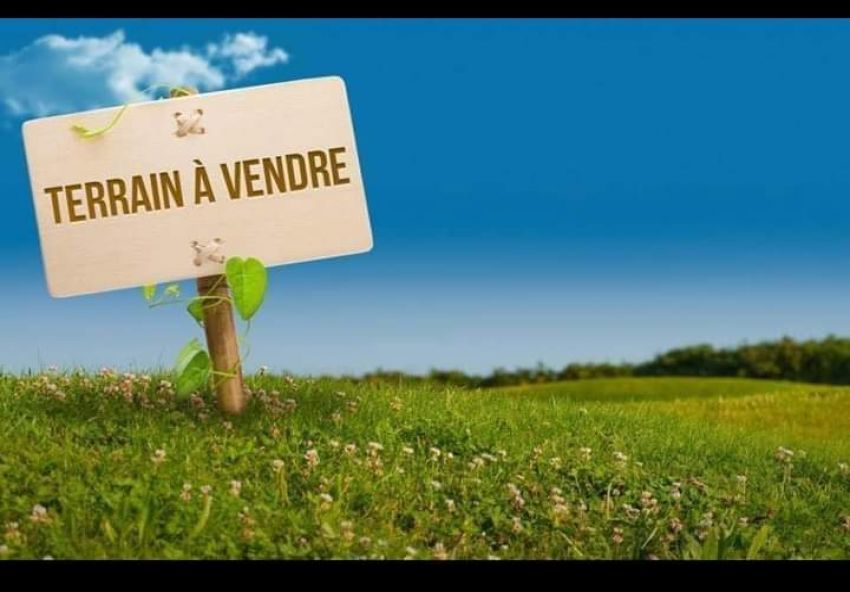 Deux lots des terrains situés à Ain Mariem
