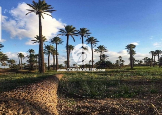 A Vendre Terrain à Tezdaine Djerba