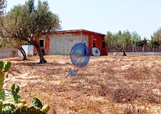 🌾 Terrain 4000 m² à Garia – Metline | Agricole