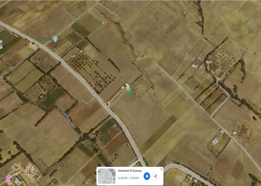 Terrain de 1000 m² à vendre à Tami