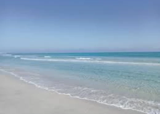 terrain à À Vendre à NABEUL - 5 hectare  au bord de la mer