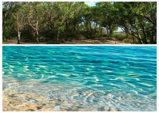 terrain côte kerkouane