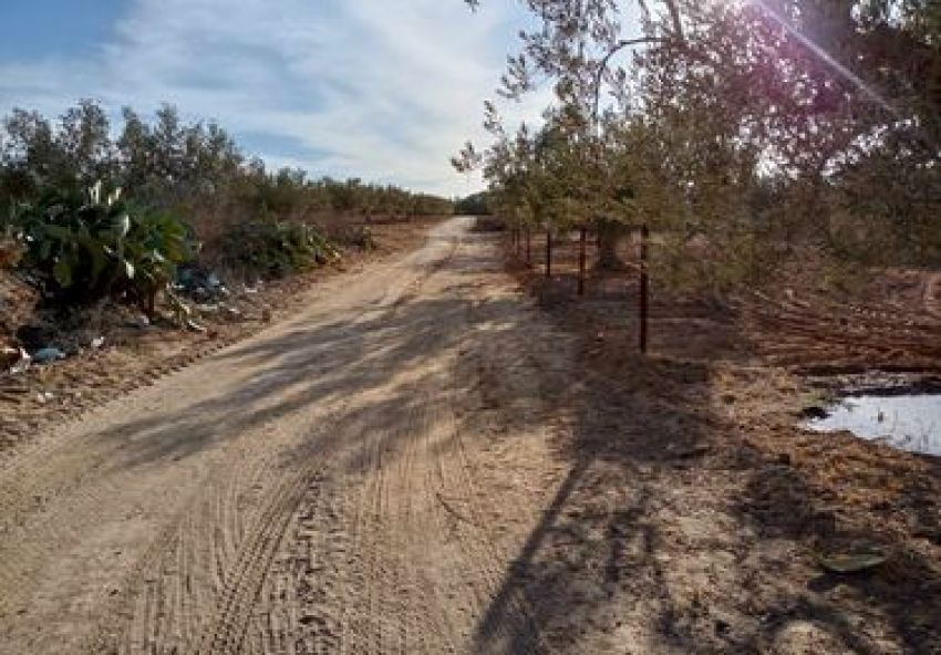 Vente terrain à Monchar Hammamet